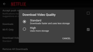 Download Netflix show and movies 