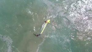 Life Guard Drone Little Ripper