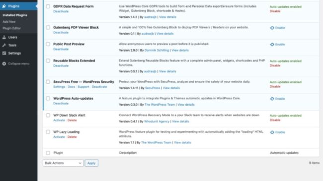 WordPress 5,5 Auto update plugins