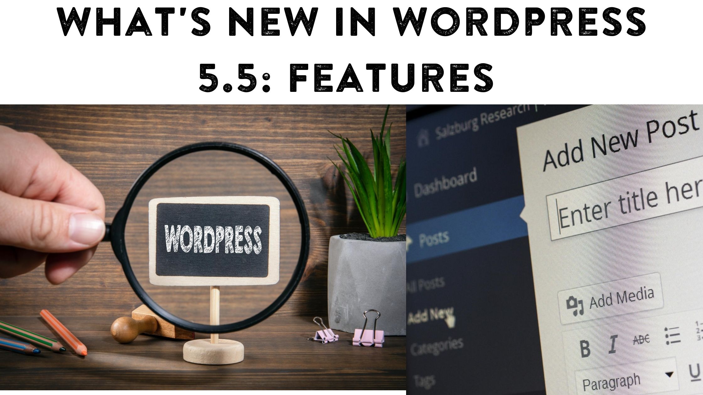 Wordpress 5,5 Features