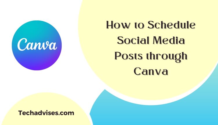 how to schedule social media post through Canva