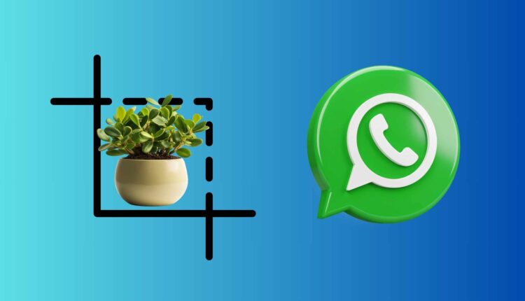 how to crop images on whatsApp